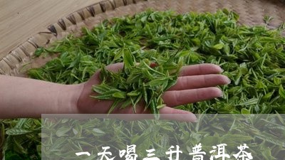 一天喝三升普洱茶/2023033051948