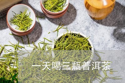 一天喝三瓶普洱茶/2023041216128