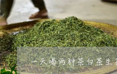 一天喝两种茶白茶生茶好吗/2023040120605