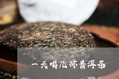 一天喝几杯普洱茶/2023041370684