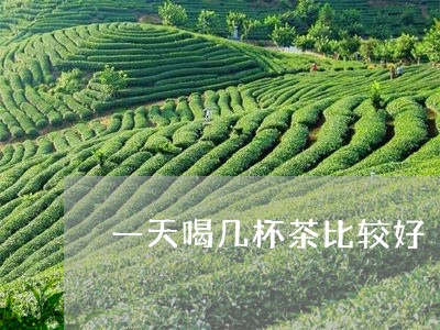 一天喝几杯茶比较好/2023041589353