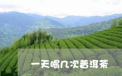 一天喝几次普洱茶/2023033117482