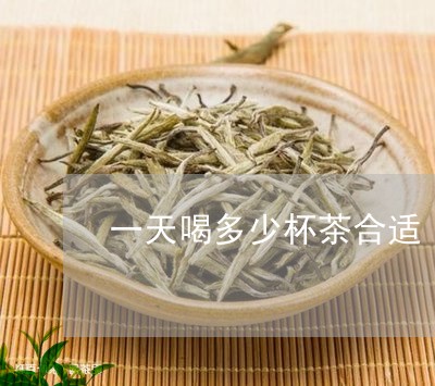 一天喝多少杯茶合适/2023031904958