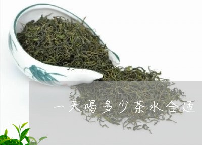 一天喝多少茶水合适/2023041536147