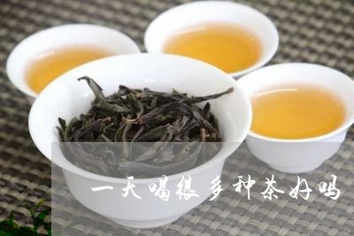 一天喝很多种茶好吗/2023031858361