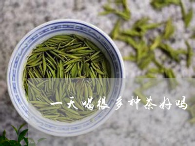 一天喝很多种茶好吗/2023041451524