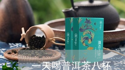 一天喝普洱茶八杯/2023033008161