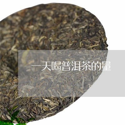 一天喝普洱茶的量/2023031609693