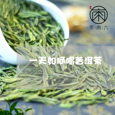 一天如何喝普洱茶/2023033099160