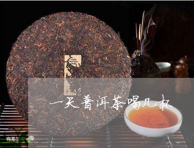 一天普洱茶喝几杯/2023033021627