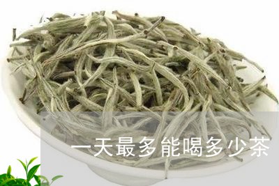 一天最多能喝多少茶/2023041460303