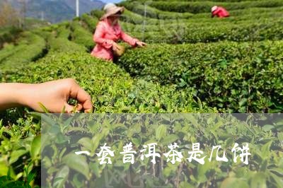 一套普洱茶是几饼/2023033040807