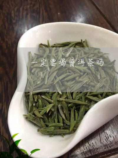 一定要喝普洱茶吗/2023033109604