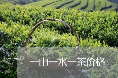 一山一水一茶价格/2023032477271