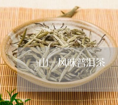 一山一风味普洱茶/2023033182147