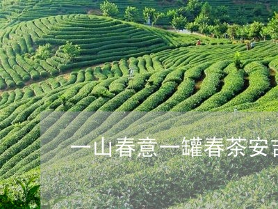 一山春意一罐春茶安吉白茶/2023040190495