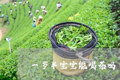 一岁半宝宝能喝茶吗/2023041671693