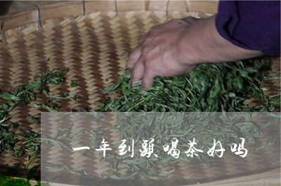 一年到头喝茶好吗/2023032473036