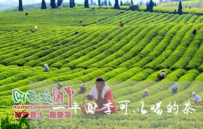 一年四季可以喝的茶/2023041656140