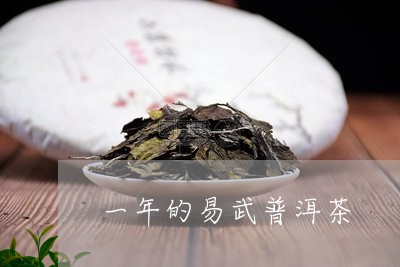 一年的易武普洱茶/2023033070624