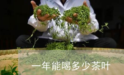 一年能喝多少茶叶/2023032609695