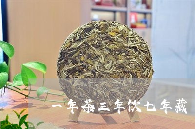 一年茶三年饮七年藏/2023041604160