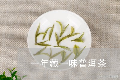 一年藏一味普洱茶/2023033056938