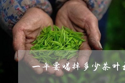 一年要喝掉多少茶叶和白茶/2023040138504