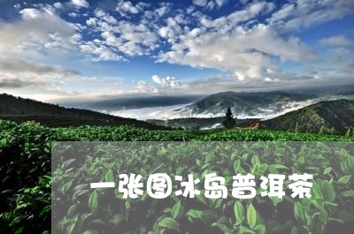 一张图冰岛普洱茶/2023041373947