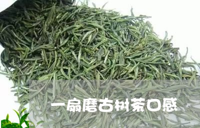 一扇磨古树茶口感/2023032653804