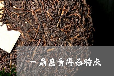 一扇磨普洱茶特点/2023040115069