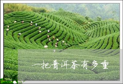 一把普洱茶有多重/2023033139613