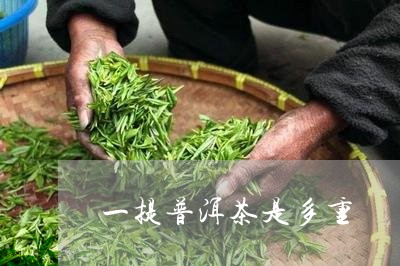 一提普洱茶是多重/2023033189605