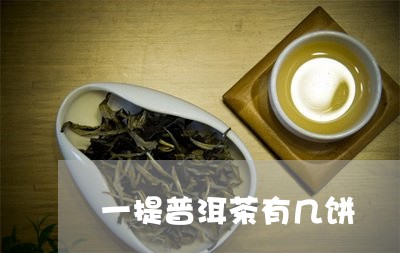 一提普洱茶有几饼/2023033005036