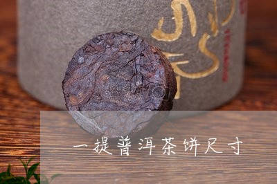 一提普洱茶饼尺寸/2023033144038