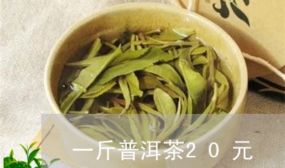 一斤普洱茶20元/2023031612714