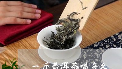 一斤普洱茶喝多久/2023033099493