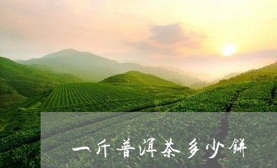 一斤普洱茶多少饼/2023031694157