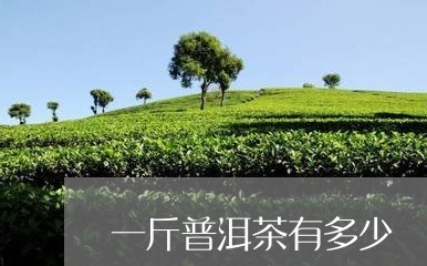 一斤普洱茶有多少/2023031806471