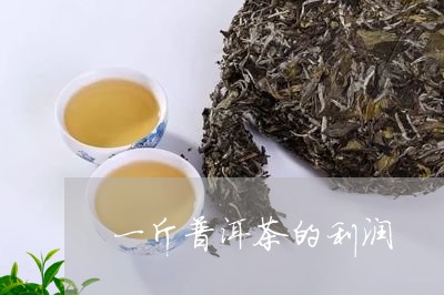 一斤普洱茶的利润/2023033073727