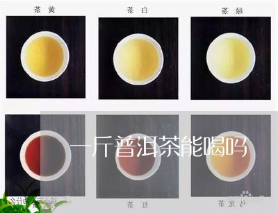 一斤普洱茶能喝吗/2023033074915