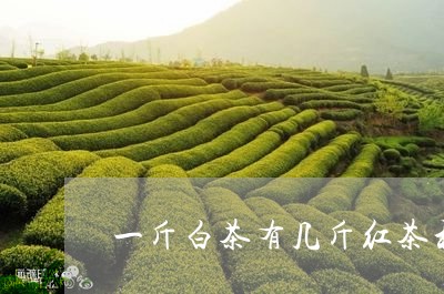 一斤白茶有几斤红茶和绿茶/2023040109504