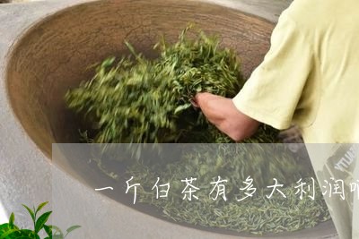 一斤白茶有多大利润啊/2023040185048