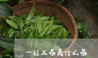 一日三茶是什么茶/2023032342836