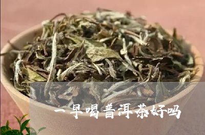 一早喝普洱茶好吗/2023033028261