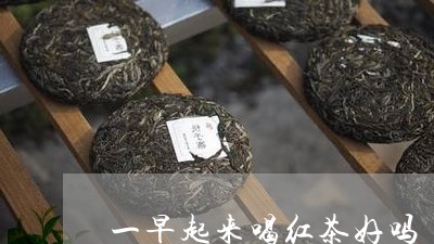 一早起来喝红茶好吗/2023041544948