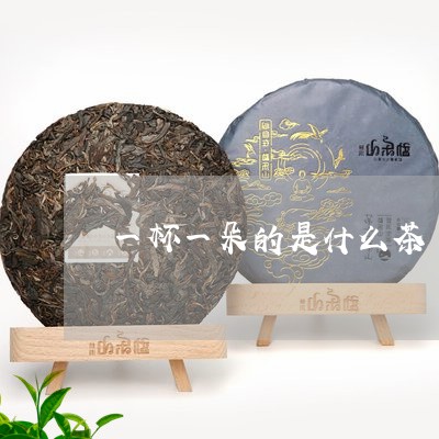 一杯一朵的是什么茶/2023031926168