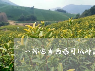 一杯安吉白茶可以冲泡几次/2023040180793