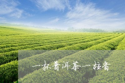 一杯普洱茶一柱香/2023033056179