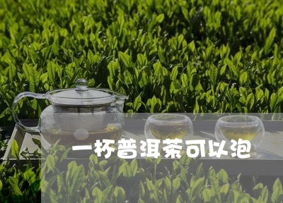 一杯普洱茶可以泡/2023033177260